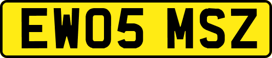 EW05MSZ