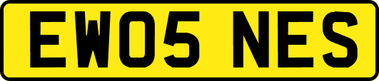 EW05NES