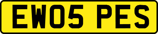 EW05PES