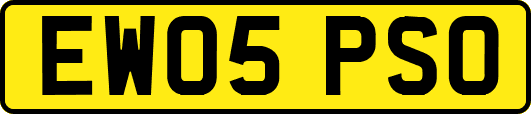 EW05PSO