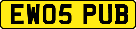 EW05PUB