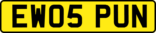 EW05PUN