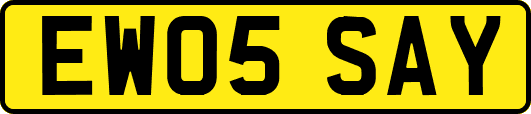 EW05SAY