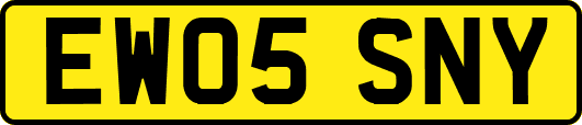 EW05SNY