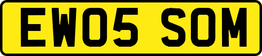 EW05SOM
