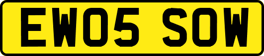 EW05SOW