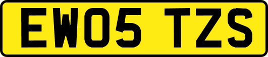 EW05TZS