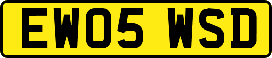 EW05WSD