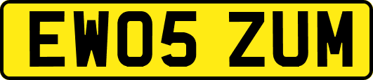 EW05ZUM