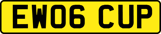 EW06CUP