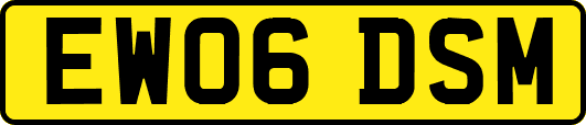 EW06DSM