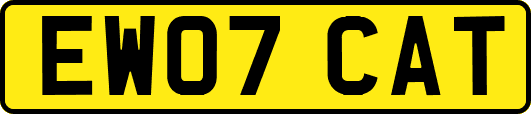 EW07CAT