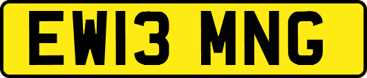 EW13MNG