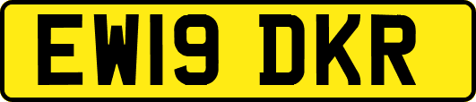 EW19DKR