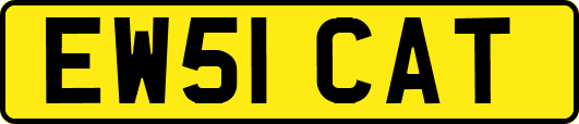 EW51CAT