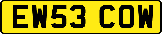 EW53COW