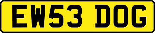 EW53DOG