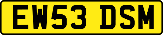 EW53DSM