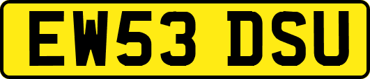 EW53DSU
