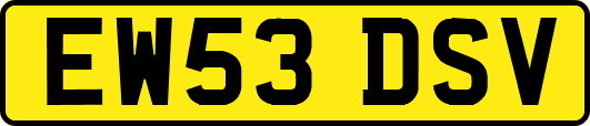 EW53DSV