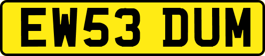 EW53DUM