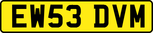 EW53DVM