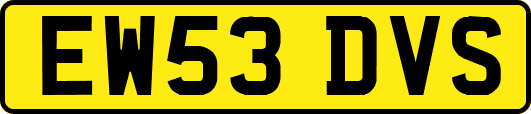 EW53DVS