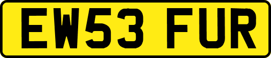 EW53FUR