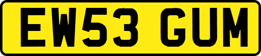 EW53GUM