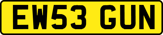 EW53GUN