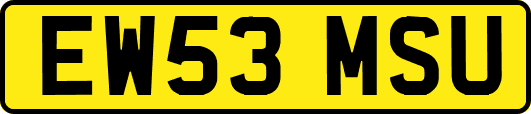 EW53MSU