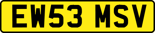 EW53MSV