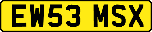 EW53MSX