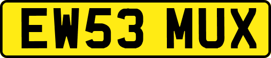 EW53MUX