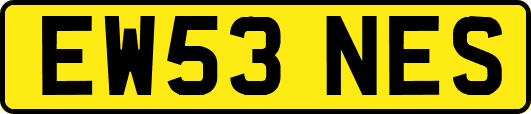 EW53NES