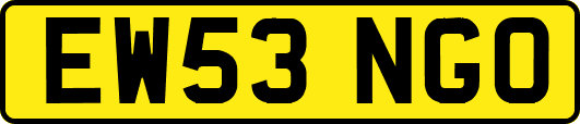 EW53NGO