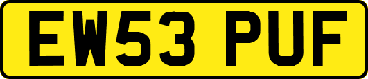 EW53PUF