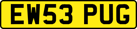 EW53PUG