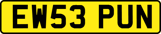 EW53PUN