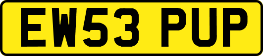 EW53PUP