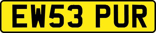 EW53PUR