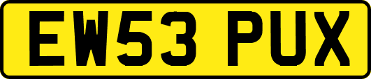 EW53PUX