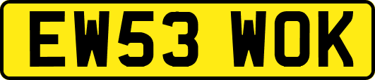 EW53WOK