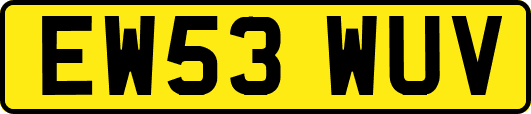 EW53WUV