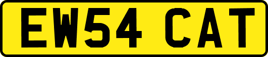 EW54CAT