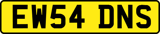 EW54DNS