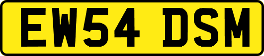 EW54DSM