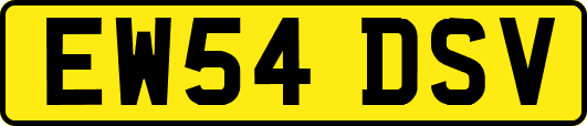 EW54DSV