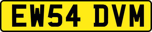EW54DVM