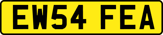 EW54FEA
